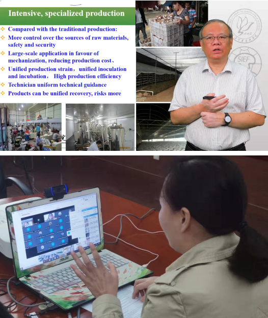 778d0689459f428cb5193cf4ec293290.png