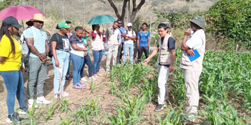 SAAS Scientist Successfully Concludes China-FAO-Cape Verde South-South Cooperation Project